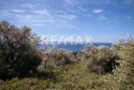 Agricultural 4050 sq.m for sale