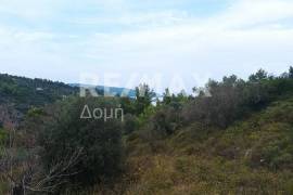 Agricultural 5000 sq.m for sale