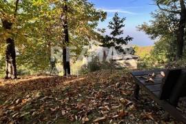 House 200 sq.m for sale