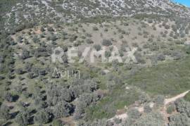 Agricultural 10376 sq.m for sale