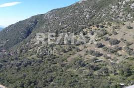 Agricultural 10376 sq.m for sale