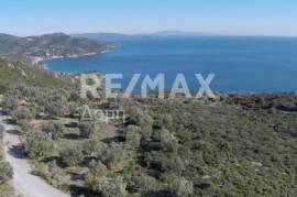 Agricultural 10376 sq.m for sale