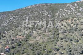 Agricultural 10376 sq.m for sale