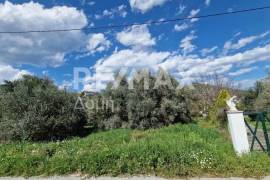 Plot 325 sq.m for sale Plot 325 sq.m for sale