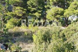 Plot 520 sq.m for sale Plot 520 sq.m for sale