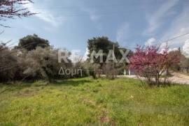 Agricultural 18508 sq.m for sale Agricultural 18508 sq.m for sale