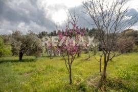 Agricultural 18508 sq.m for sale Agricultural 18508 sq.m for sale