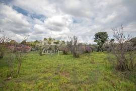 Agricultural 18508 sq.m for sale Agricultural 18508 sq.m for sale