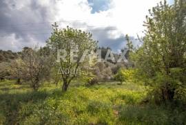 Agricultural 18508 sq.m for sale Agricultural 18508 sq.m for sale