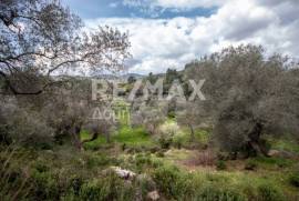 Agricultural 18508 sq.m for sale Agricultural 18508 sq.m for sale