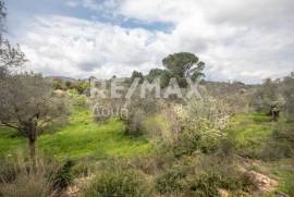 Agricultural 18508 sq.m for sale Agricultural 18508 sq.m for sale