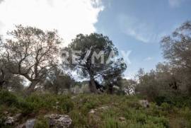 Agricultural 18508 sq.m for sale Agricultural 18508 sq.m for sale