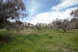Agricultural 18508 sq.m for sale Agricultural 18508 sq.m for sale