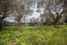 Agricultural 18508 sq.m for sale Agricultural 18508 sq.m for sale