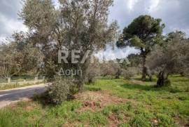 Agricultural 18508 sq.m for sale Agricultural 18508 sq.m for sale