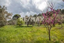 Agricultural 18508 sq.m for sale Agricultural 18508 sq.m for sale
