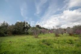 Agricultural 18508 sq.m for sale Agricultural 18508 sq.m for sale