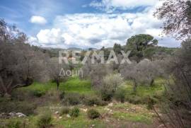 Agricultural 18508 sq.m for sale Agricultural 18508 sq.m for sale