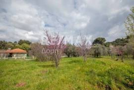 Agricultural 18508 sq.m for sale Agricultural 18508 sq.m for sale