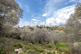 Agricultural 18508 sq.m for sale Agricultural 18508 sq.m for sale