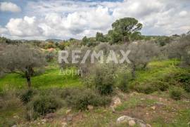 Agricultural 18508 sq.m for sale Agricultural 18508 sq.m for sale