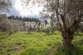 Agricultural 18508 sq.m for sale Agricultural 18508 sq.m for sale