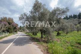 Agricultural 18508 sq.m for sale Agricultural 18508 sq.m for sale
