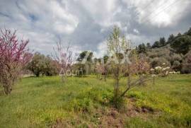 Agricultural 18508 sq.m for sale Agricultural 18508 sq.m for sale