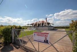 House 100 sq.m for sale