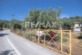 Agricultural 19852 sq.m for sale