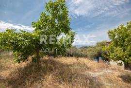 Building 420 sq.m for sale