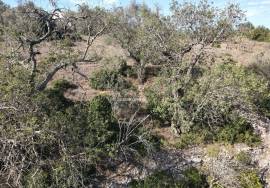 Plot of land with sea views
