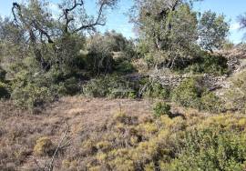 Plot of land with sea views