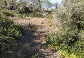 Plot of land with sea views