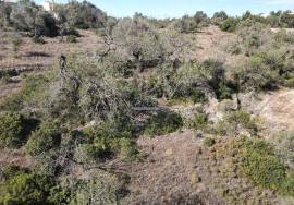 Plot of land with sea views
