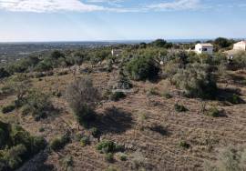 Plot of land with sea views
