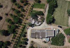 Perfect Plot of Land with 2 Ruins in Tavira Countryside