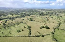 Horse And Cattle Ranch