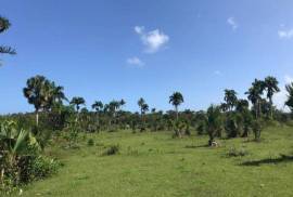 Beachfront Property In Cambiaso