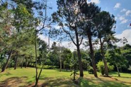 In The Heart Of Jarabacoa