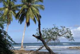 Where The River Meets The Ocean - A Rare Coastal Sanctuary