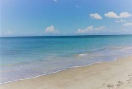 Where The River Meets The Ocean - A Rare Coastal Sanctuary