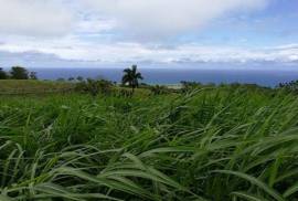 Beautiful Farm With Ocean Views In Rio San Juan