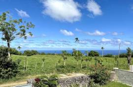 Serene Countryside House With 45 Acres Of Farmland