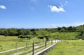 Farm Life In Cabrera