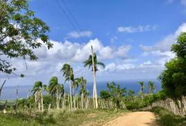 Sustainable Farm To Be Found Near The Town Of Cabrera