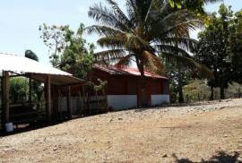 Sustainable Farm To Be Found Near The Town Of Cabrera