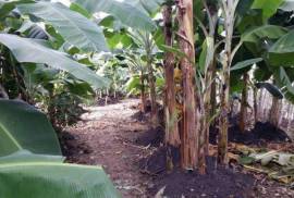 Sustainable Farm To Be Found Near The Town Of Cabrera