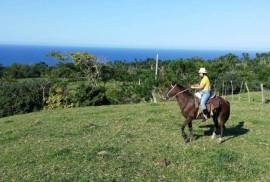 Sustainable Farm To Be Found Near The Town Of Cabrera