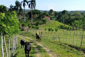 Sustainable Farm To Be Found Near The Town Of Cabrera
